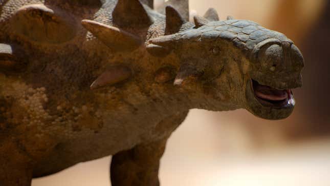 The ankylosaur Tarchia features in the new season's second episode.