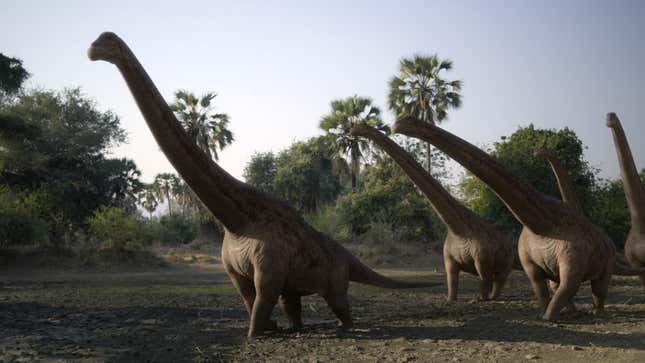 A herd of Rapetosaurus on Madagascar.