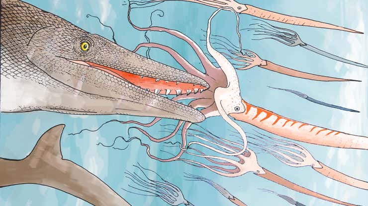 Image for Paleontologists Perplexed by Swimming Predator With 'Screwdriver' Teeth